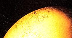 Picture of fungus in lens